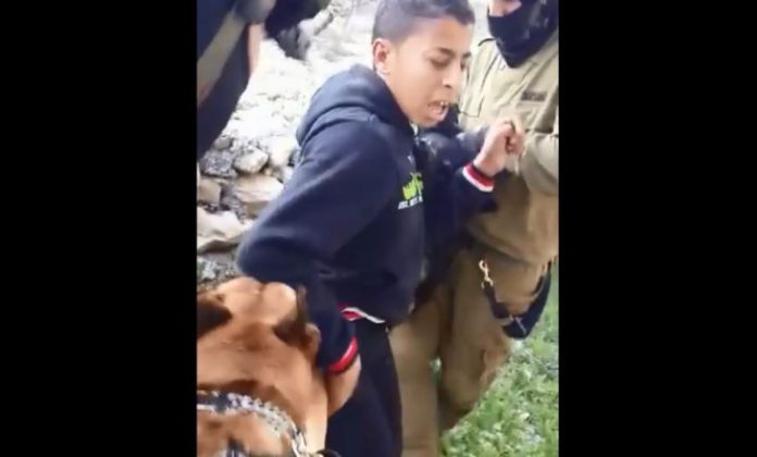 palestina2.jpg