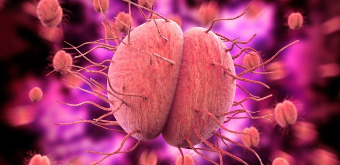 Gonorrhea-superbug.jpg