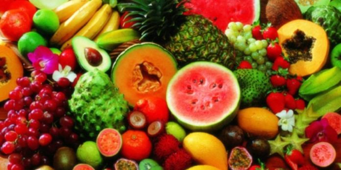 frutat-c1200x600.jpg