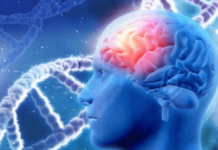 Ja si ta trajtoni sëmundjen e Parkinsonit