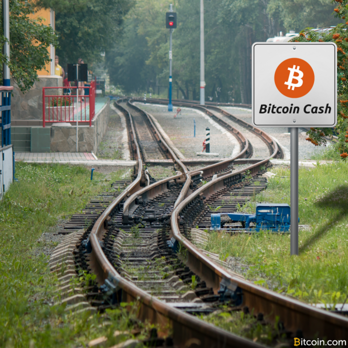 What-Every-Bitcoiner-Should-Know-About-Bitcoin-Cash-V2-1024x1024.png