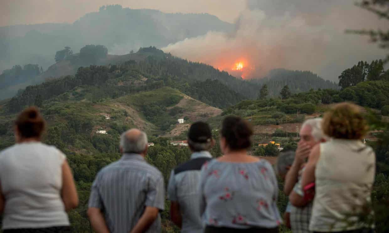 Ishujt Kanarie "përpihen" nga zjarri, 8000 të evakuuar 15 6016