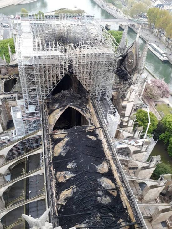 pozar notre dame twitter
