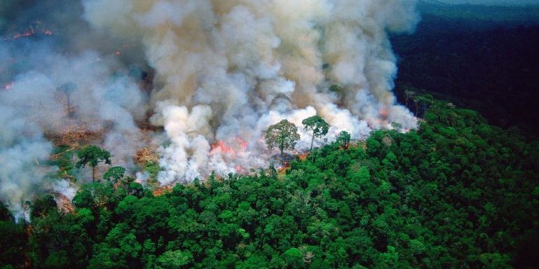 ALARMUESE/ Katastrofa e heshtur e "mushkërive të tokës". Ç'po ndodh në pyjet e Amazonës? (video) 4 smh amazon rainforest
