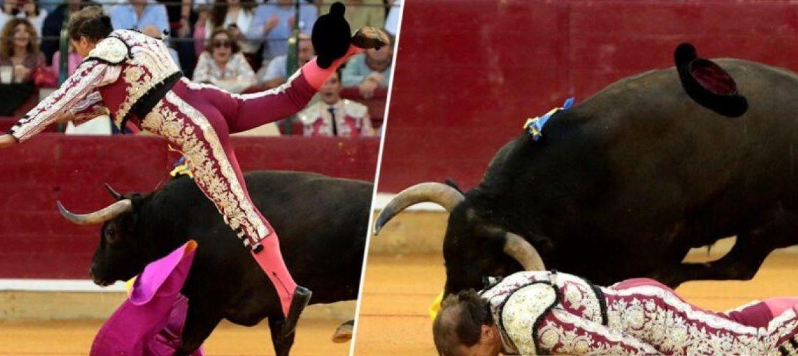 bik matador delavina spanija okt19 EPAEFE e1571555954797