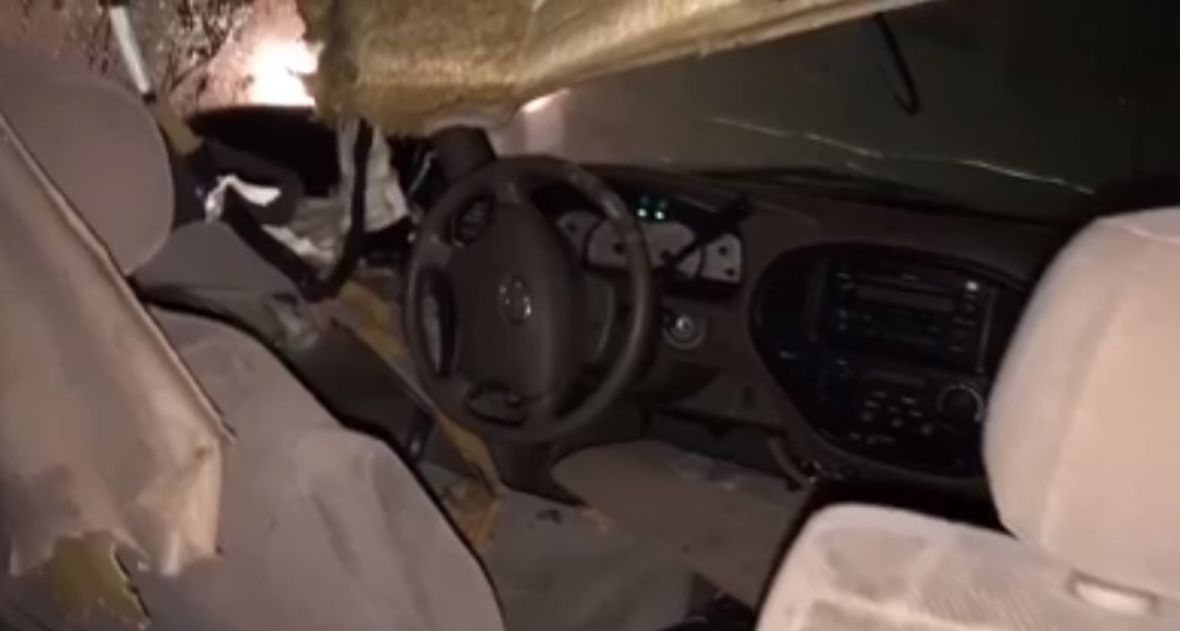 E pabesueshme: ariu vetëbllokohet në makinë, shpëtohet nga policia (video) 8 automobil medvjed prtscr