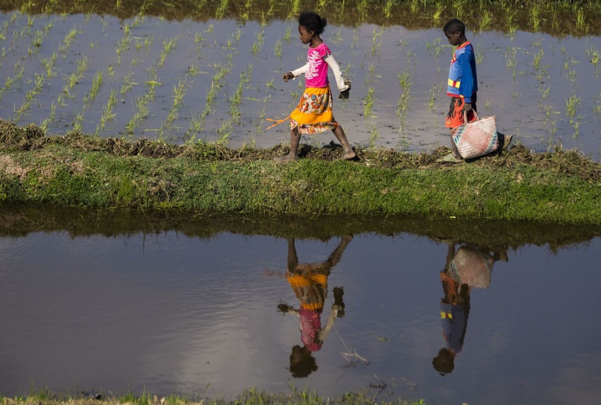 Varfëria e jo vetëm: 166 milion fëmijë në botë, pa certifikatë lindjeje 10 madagaskar afrika siromastvo aa
