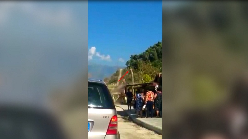 Berat/ Punonjësi i bashkisë humbi jetën teksa po priste pemën, arrestohet inxhinieri