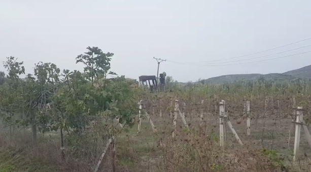 berat