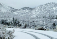 “Ngrin” Shqipëria, ngrica në të gjithë territorin, në Korçë -12°C