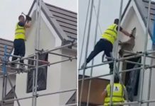 VIDEO/ Nuk e paguan, punëtori hakmerret ndaj pronarëve