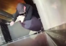 VIDEO/ I riu në ashensor i kollitet në fytyrë, i moshuari e ‘bën për spital’