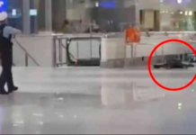 Bombë me vete në mes të aeroportit / Polici hap zjarr ndaj një personi në Frankfurt, “agresori” i shtrirë në tokë