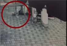 U përplasën mes tyre dhe më pas shembën në tokë kalimtarin në trotuar, policia arreston dy shoferët, mes tyre edhe 20-vjeçaren që bëri goditjen fatale