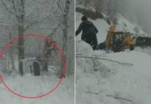 Orteku i borës i merr para makinën e mjekut në Kelmend të Shkodrës