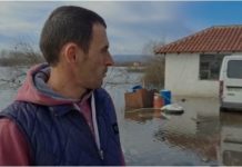 Muriqani prej ditësh nën ujë, banori denoncon: Po më ngordhin 10 krerë lopë, asnjë ndihmë nga shteti