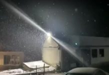 VIDEO-LAJM/ Reshje intensive dëbore përfshijnë zonën e Qafë Plloçit në Pogradec