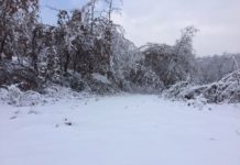 Në disa zona të Kukësit dëbora arrin 15 cm, si paraqitet situata në këtë qark