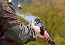 E rëndë/ Shkoi për të gjuajtur derra të egër në pyll, 54-vjeçari vret veten aksidentalisht