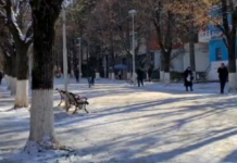 Dibër, mjeku rrëshqet në akull, pëson fraktura të rënda, përfundon në spital