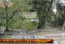 “Mora me vete çarshinë, megjithëse ishte djegur”, gazetarja Aida Shtino viziton qytetin e Pejës dhe rrëfen historinë e saj