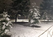 Fillojnë reshjet e borës në juglindje të vendit