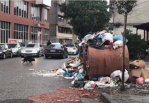 Shkodra pushtohet nga plehrat/ Ademi: Jemi para një katastrofe mjedisore