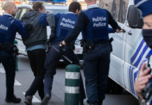 Tragjike/ Vëllai vret 28-vjeçaren për çështje nderi, ja çfarë gjeti policia në banesë