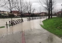 Hapen portat e dy HEC-eve/ Uji mbulon mijëra hektarë tokë, përmbyten shtëpi e biznese