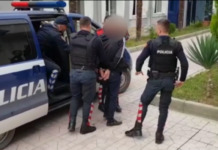 Iu gjetën 146 gota të mbjella me fara kanabisi në shtëpi, arrestohet 32-vjeçari në Skrapar