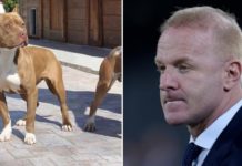 E rëndë/ Kishte dalë për të marrë ajër të pastër, Igli Tare sulmohet nga pitbulli