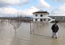 3700 hektarë ende nën ujë Shkodër, situatë më e mirë në Fushë-Krujë