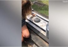 Filloi si një veprim për të mposhtur frikën, habit 12 vjeçarja: Ëndrra ime është të pastroj çdo ditë varrezat