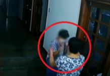 Publikohen pamjet shokuese kur ambasadorja rreh barbarisht pastruesen (VIDEO)