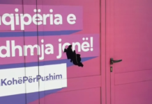 Theu me gurë zyrën e PS në Berat, identifikohet autori. 17-vjeçari, djali i kryetares së Gruas Demokrate