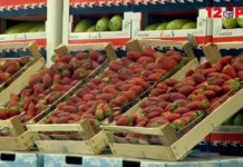 Shqipëria mund të bëhet kampione në Ballkan për turizëm, agroturizëm dhe eksporte bujqësore