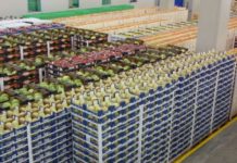 “Pesëfish më shumë prodhime të eksportuara se në 2013″/ Klosi: 25 milionë euro për zhvillimin e agropërpunimit