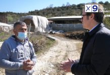 Alizoti: Subvencionimi i bujqësisë një nga planet konkrete të PD-së