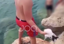 Një model i shëmtuar i kapur në video, adoleshentët shqiptarë flakin macen në det!