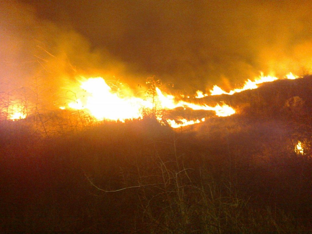 Zjarr i qëllimshëm në Berat, digjen 3 hektarë me shkurre dhe dëllinja, ndërhyrja e zjarrfikësve e vështirë