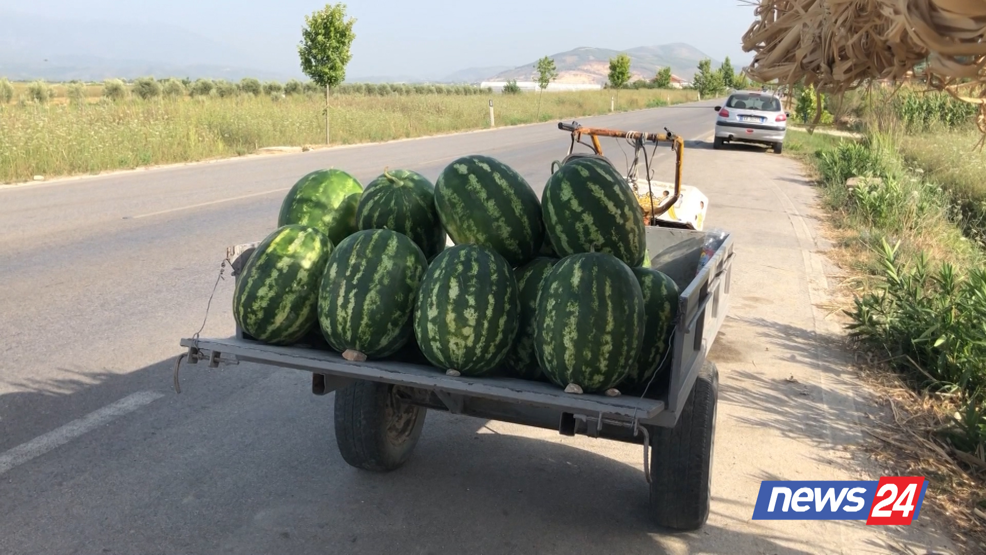 Fermerët e Dimalit në kufijtë e mbijetesës: Premtimet për naftë e grande, gënjeshtër. Asnjë ndihmë nga shteti