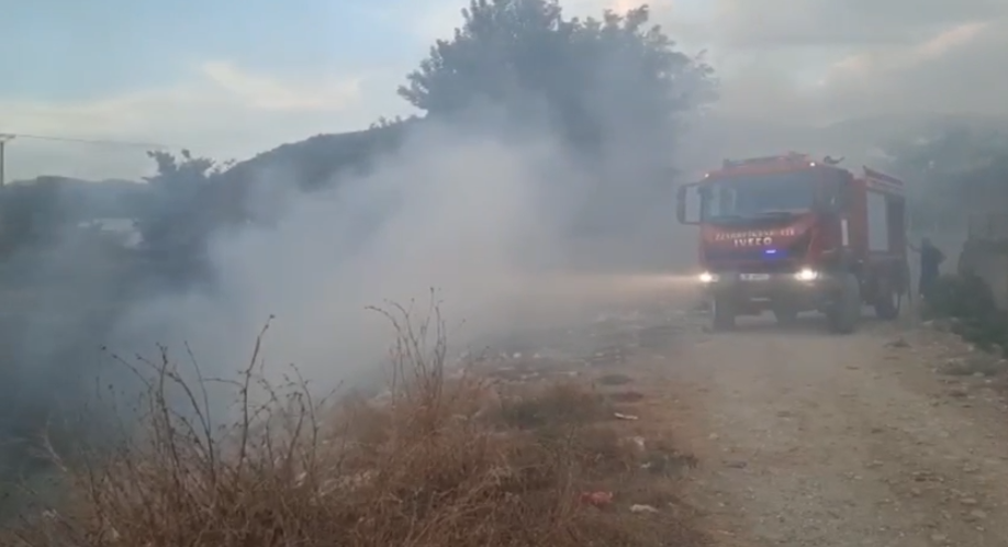 Zjarr në fshatin Malinat në Berat, digjen rreth 3 ha plantacione me ullinj, dyshohet të jetë i qëllimshëm