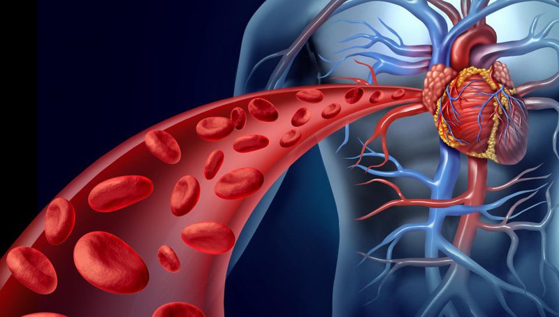 Hiperinsulinemia dhe ateroskleroza 8 800 0 fd1b758e28a82d0a3210542fc393baff
