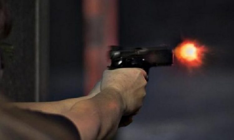 pistolet-naten-vrasje-plagosje-750x450-1.jpeg
