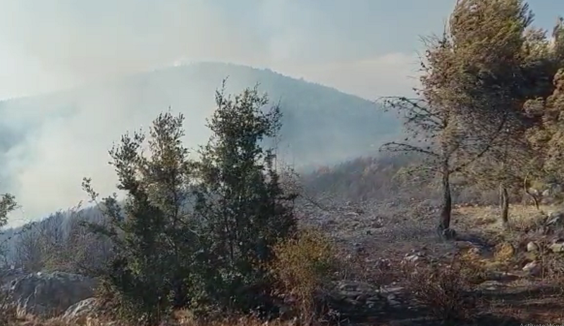 Riaktivizohet vatra e madhe e zjarrit në pyllin e Krastës në Krujë
