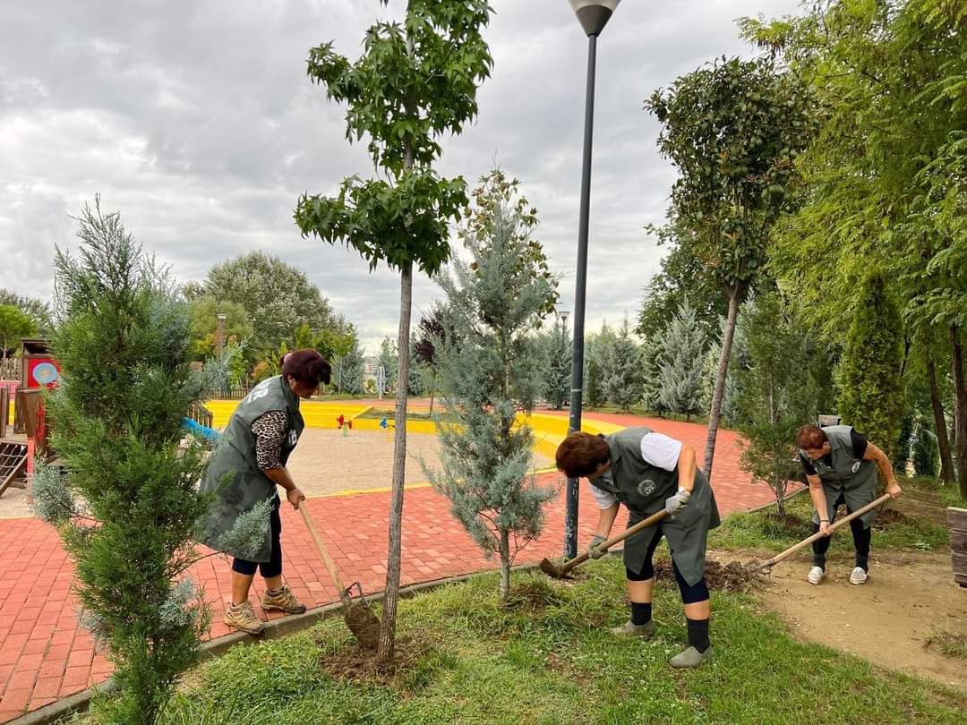 Veliaj: Në këto 7 vite kemi 550 mijë pemë më shumë, 81 kënde lodrash dhe ambiente sportive Veliaj: Në këto 7 vite kemi 550 mijë pemë më shumë, 81 kënde lodrash dhe ambiente sportive