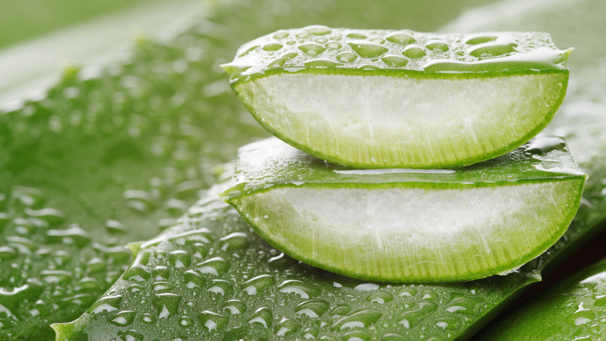 Përdorimi i aloe verës për psoriazën dhe probleme të tjera me lëkurën