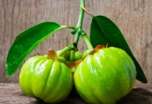 Keni dëgjuar për “Garcinia cambogia” ?