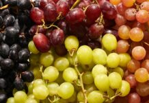Është fruti i sezonit, rrushi mund të parandalojë demencën dhe të rrisë jetëgjatësinë