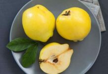 Ftoi, bombë me vitamina/ Ja sëmundjet që kuron